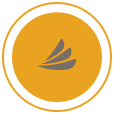 CareCredit logo highlighted