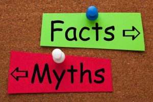 myths vs facts bulletin board